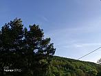 Holčovice