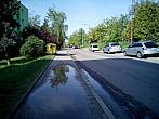 Borovina