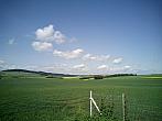 Markvartice