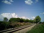 Borovina