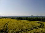 Strupčice