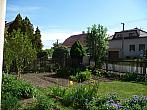 Třibřichy