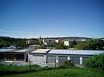 Borovina