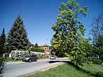 Borovina