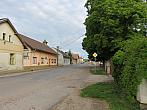Třibřichy