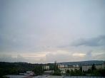 Borovina