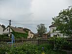 Třibřichy