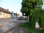 Třibřichy