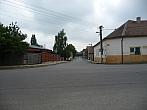 Třibřichy