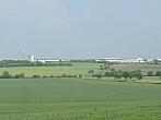 Třibřichy