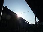 Třibřichy
