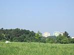 Neratovice