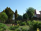 Třibřichy