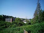Borovina