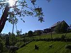 Skalité