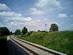 Borovina