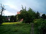 Borovina