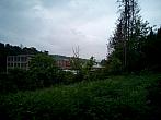 Borovina