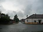 Třibřichy