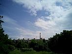 Borovina