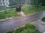 Borovina