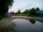 Borovina