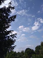 Pacov