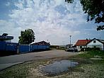 Borovina