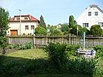 Třibřichy