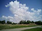 Borovina
