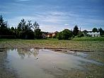 Borovina