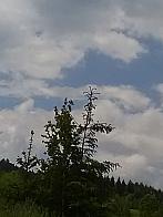 Skalité
