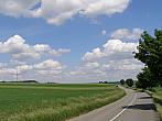 Dobromilice