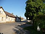 Třibřichy