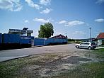 Borovina