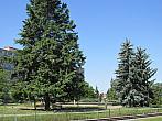 Neratovice