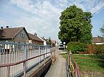 Třibřichy