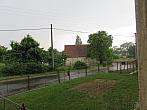 Třibřichy