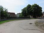 Třibřichy