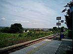 Borovina