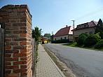 Třibřichy