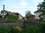 Třibřichy
