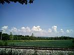 Borovina