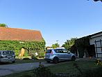 Třibřichy