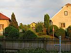 Třibřichy