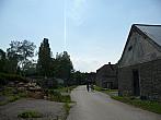 Třibřichy