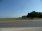 Třibřichy