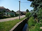 Třibřichy