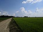 Císařov
