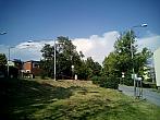 Borovina